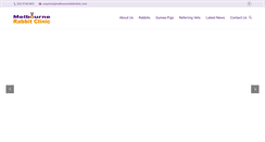 Desktop Screenshot of melbournerabbitclinic.com